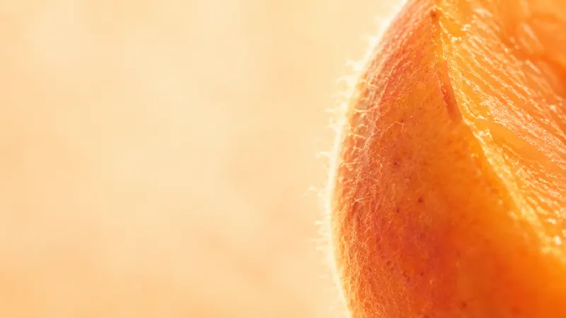 The soft downy skin of an apricot glowing in rim light.