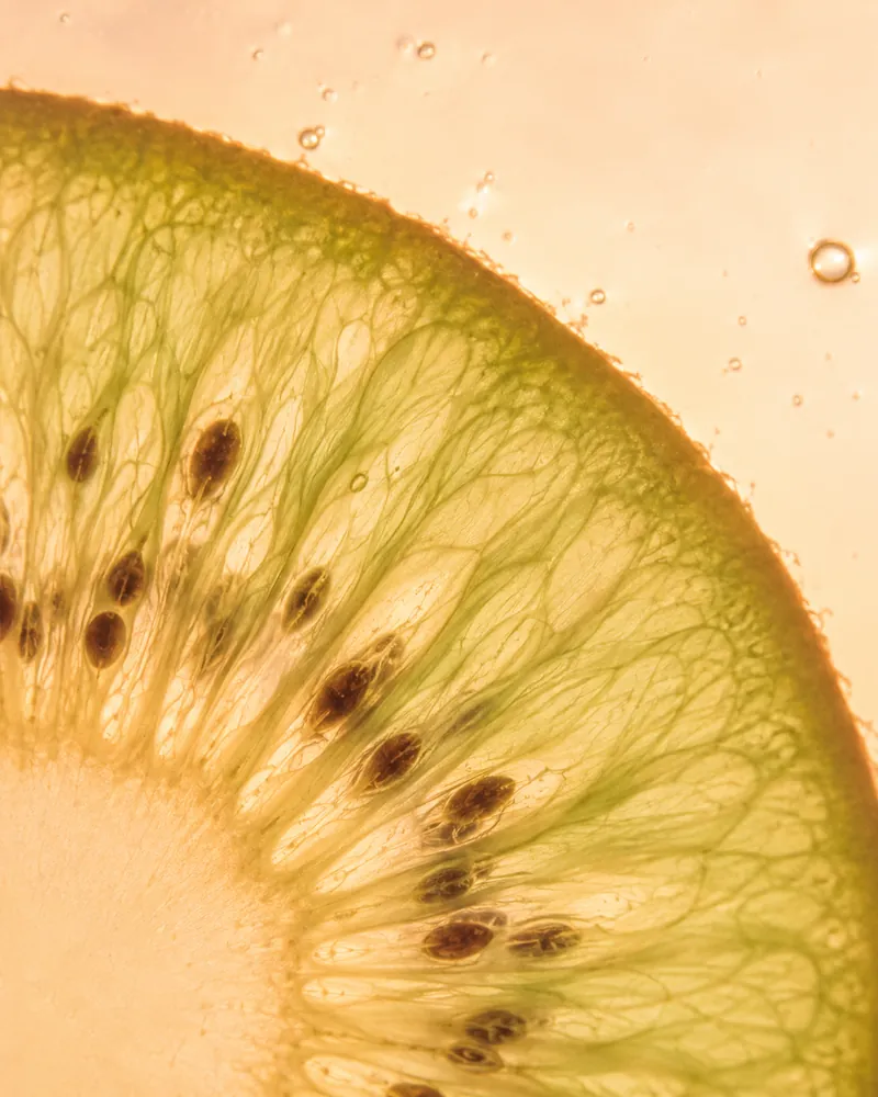 A backlit kiwi slice showing dark seeds and pale green flesh.